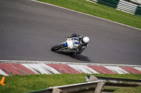 cadwell-no-limits-trackday;cadwell-park;cadwell-park-photographs;cadwell-trackday-photographs;enduro-digital-images;event-digital-images;eventdigitalimages;no-limits-trackdays;peter-wileman-photography;racing-digital-images;trackday-digital-images;trackday-photos